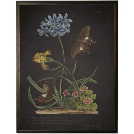 Vintage Floral & Butterfly Print on Black Background