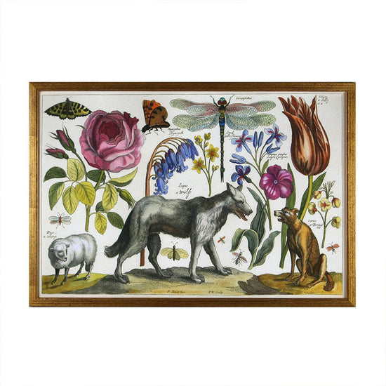 Wencelaus Hollar Reprotique Reproduction Framed, Dog
