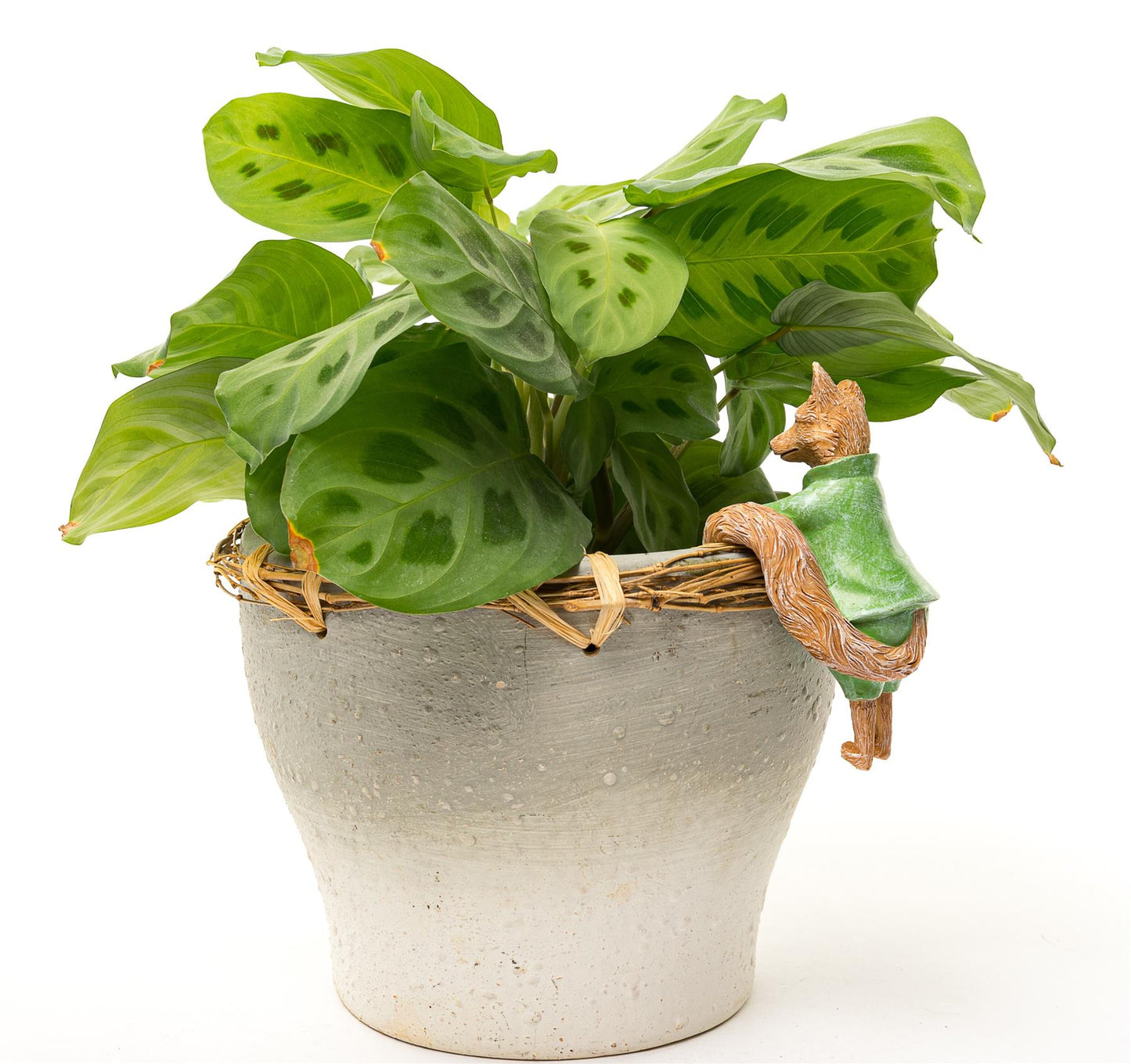 Beatrix Potter "Mr. Tod" Plant Pot Hanger