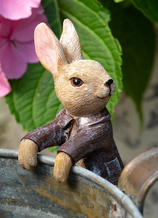 Beatrix Potter "Benjamin Bunny" Plant Pot Hanger