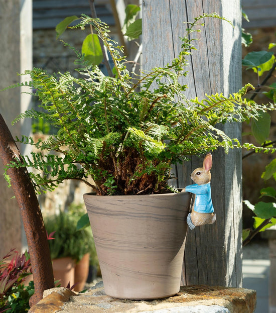 Beatrix Potter "Peter Rabbit Hanging" Plant Pot Hanger