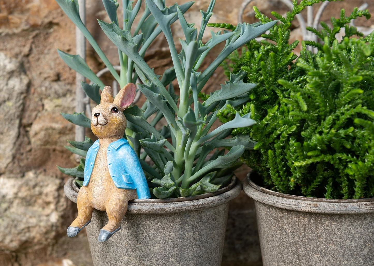 Beatrix Potter "Peter Rabbit Sitting" Plant Pot Hanger