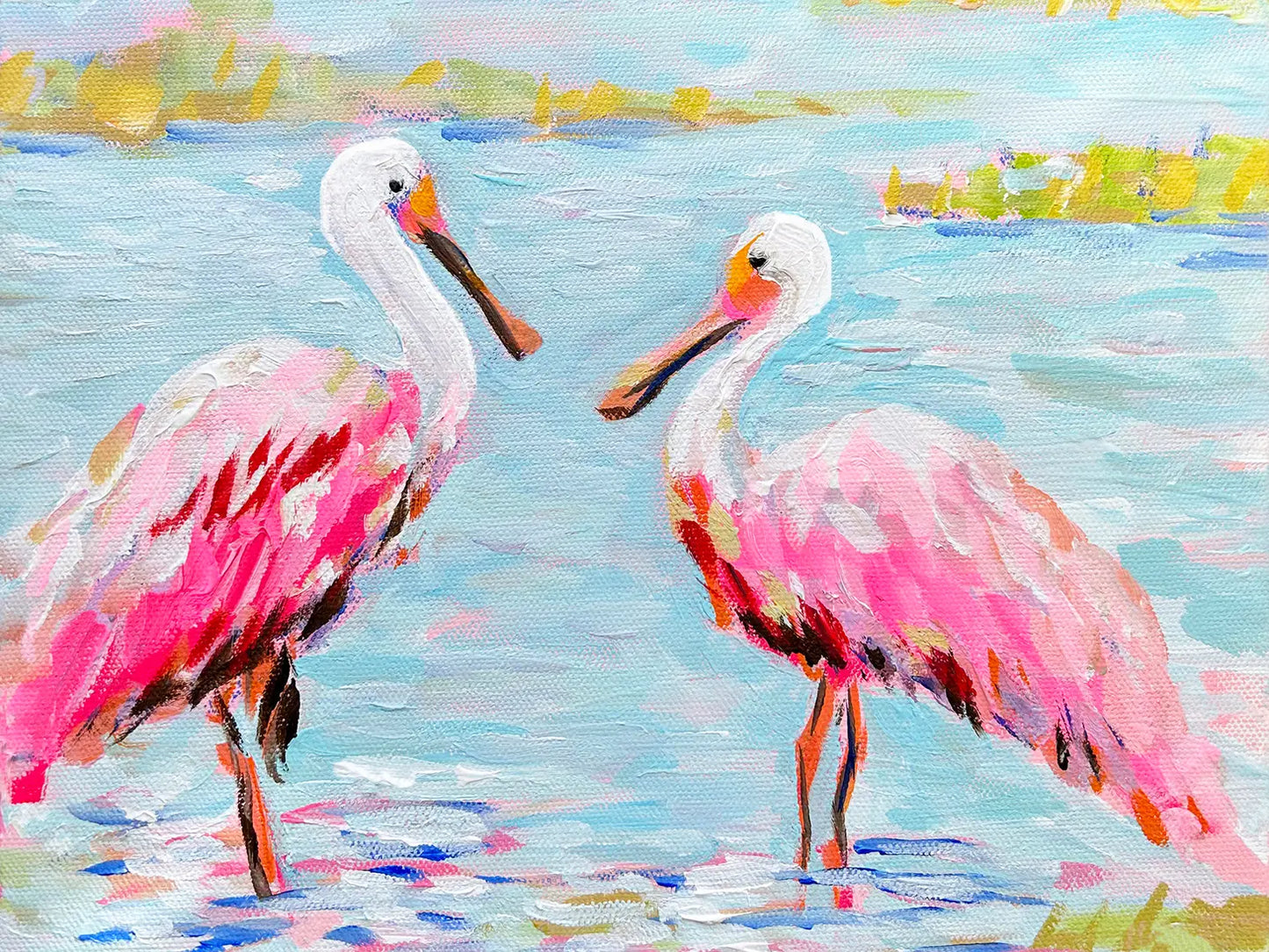 Two Rosette Spoonbills Stretched Canvas