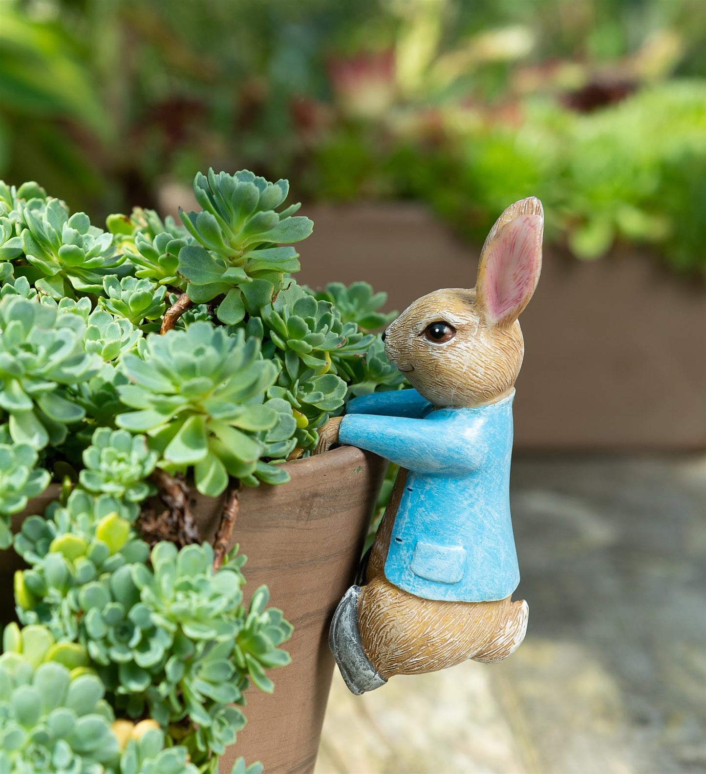 Beatrix Potter "Peter Rabbit Hanging" Plant Pot Hanger
