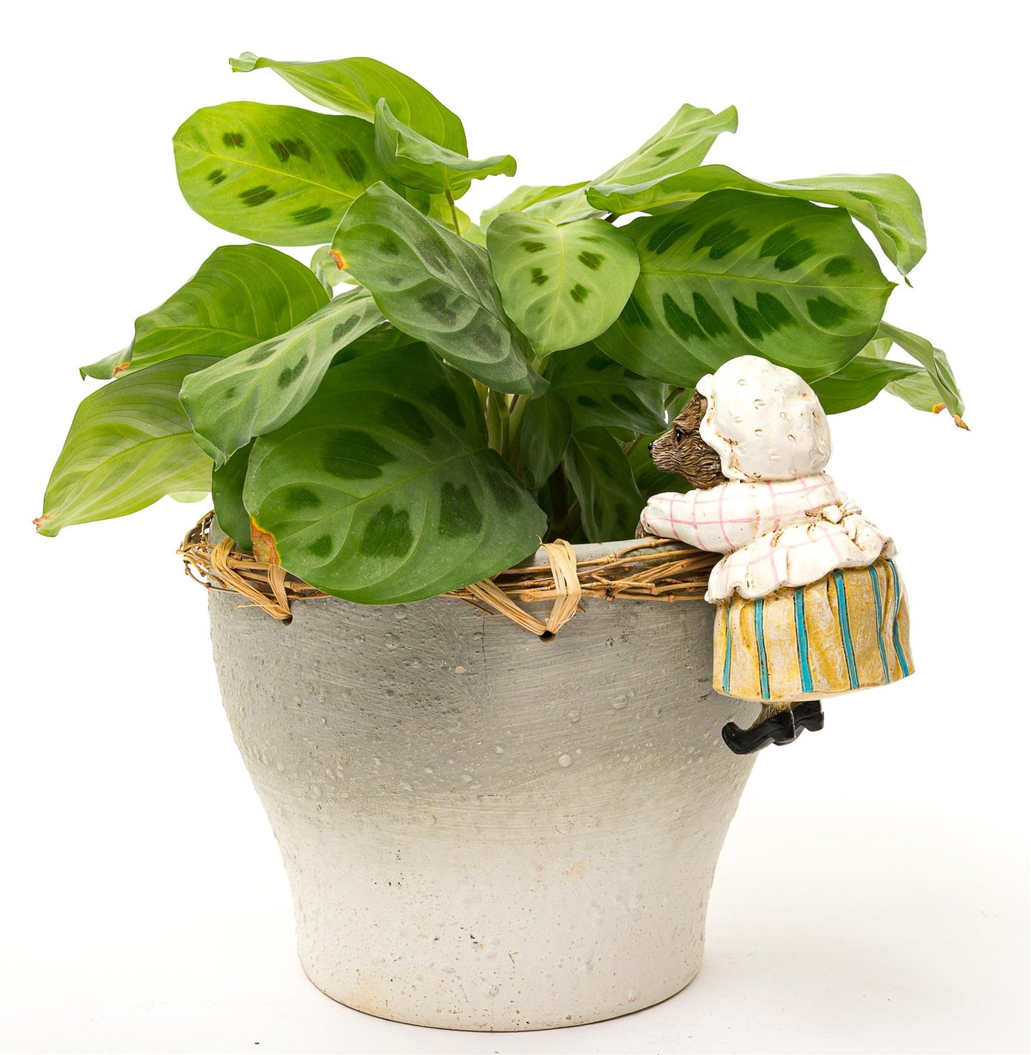 Beatrix Potter "Mrs. Tiggy- Winkle" Plant Pot Hanger