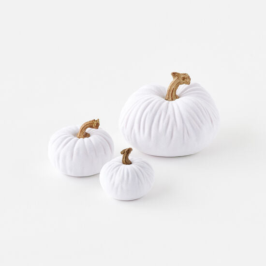 Flocked Pumpkin, White