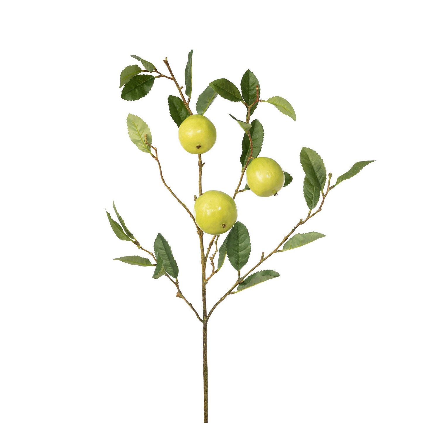 Load image into Gallery viewer, Park Hill Collection - Quince Fruit Branch
