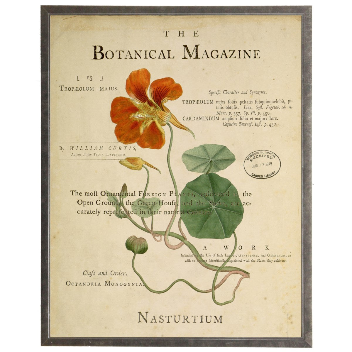 Load image into Gallery viewer, Nasturium On Botanical Magazine Vintage Background
